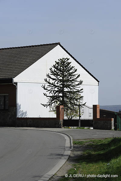 banlieue de Liège